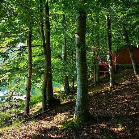 La Cabana By The Chalet *